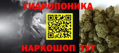 твердый Пугачёв